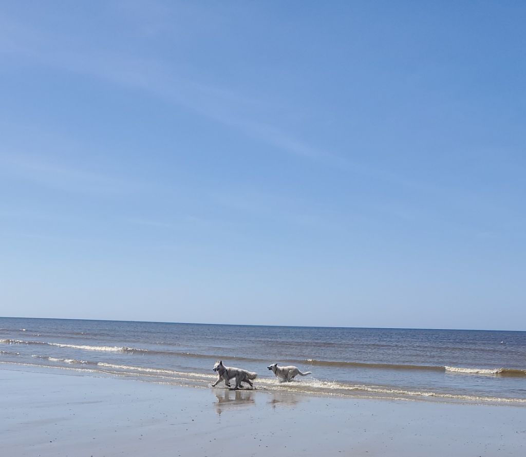 A la mer