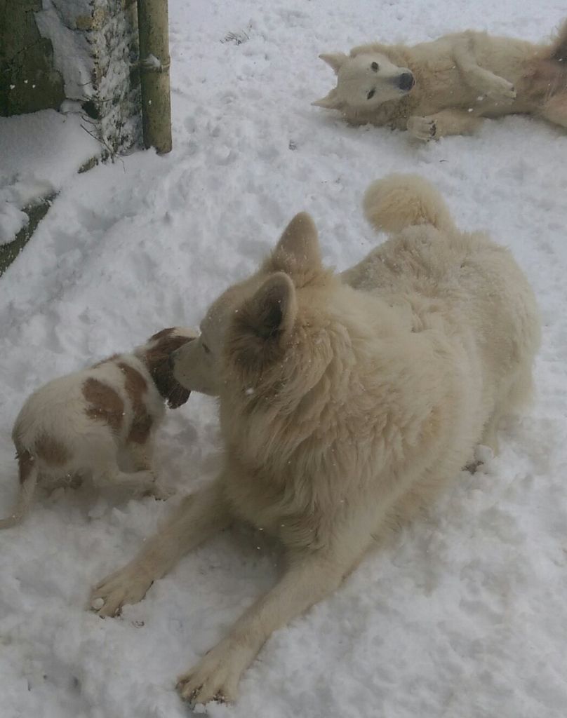 A la neige